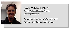 Mitchell Seminar Image